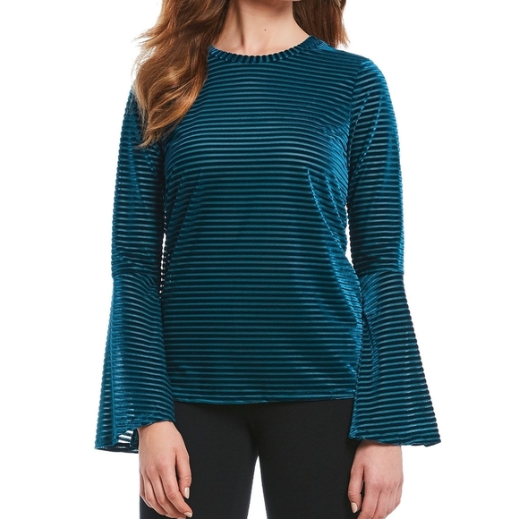 Michael Kors Blue Long Sleeve Striped Shirt Teal Blue Bell Sleeves Velour Velvet - Picture 1 of 11